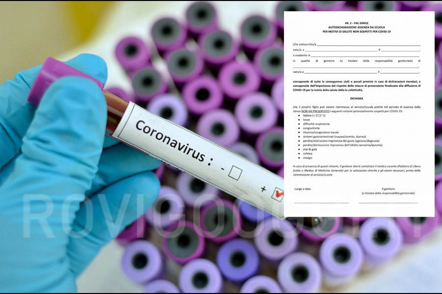 coronavirus2-3-2.jpg
